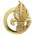 Insigne de béret de la 13e&nbsp;DBLE