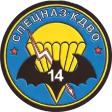 Emblème rond montrant une chauve-souris noire devant une toile de parachute jaune sur fond bleu.