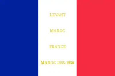 Drapeau du 19e&nbsp;bataillon de parachutistes algériens