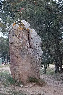 Image illustrative de l’article Menhir de Puig ses Forques