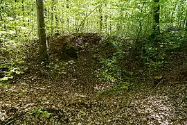 Petit trou en entonnoir dans la forêt.