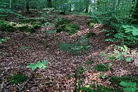 Un trou en entonnoir.