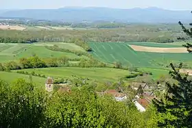 Les Vosges saônoises.