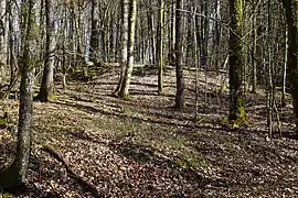 Terril du puits no&nbsp;3.