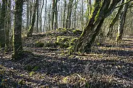 Le petit terril du puits no&nbsp;3.