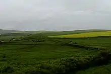 Bannière gauche du Nouveau Barag