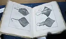 Ouvrage de l'abbé Pierre Joseph Bonnaterre consacré à l'ichtyologie publié en 1788, exposé au « Marinarium » de Concarneau, décrivant et illustrant les poissons connus à l'époque, dont plusieurs espèces de raies.