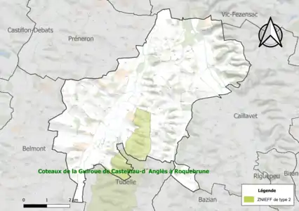 Carte de la ZNIEFF de type 2 sur la commune.