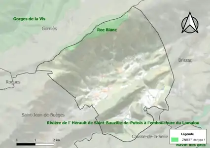 Carte de la ZNIEFF de type 1 sur la commune.