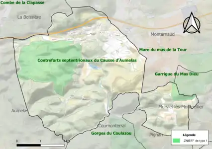 Carte des ZNIEFF de type 1 sur la commune.