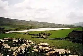 Image illustrative de l’article May Leiba