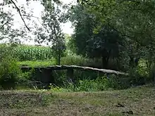 Le pont mégalithique.