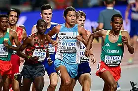 Image illustrative de l’article Luis Grijalva