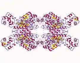 Image illustrative de l’article Glutaminase