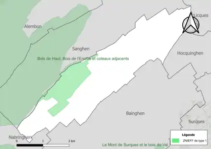 Carte de la ZNIEFF de type 1 sur la commune.