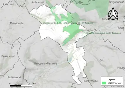 Carte des ZNIEFF de type 1 sur la commune.