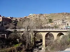 Anthony Modeste sous le maillot du FC Köln en 2021.