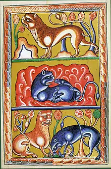 Enluminure représentant un lion sur des hauteurs, la naissance des lionceaux et la réanimation de ceux-ci par le père.Bestiaire d'Ashmole, XVIe&nbsp;siècle.