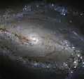Image montrant les nombreux rubans de poussière de NGC 613. (NASA/ESA Télescope spatial Hubble)