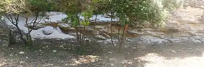 Photographie en couleurs d'un abri sous roche