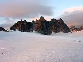 Les aiguilles Dorées depuis le glacier du Trient. Au centre, la tête Biselx (3&nbsp;507&nbsp;m) et, tout à droite, l'aiguille de la Varappe (3&nbsp;517&nbsp;m).