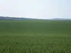 La vallée Jaune, petit vallon à l'ouest de la commune, depuis la rue d'Étouy.