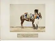 Gendarmes d'élite de la Garde impériale et son cheval en grande tenue