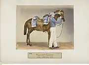 Cuirassier de la Garde impériale en tenue d'écurie