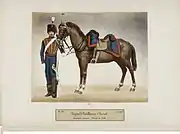 Canonnier servant de la Garde impériale et son cheval de selle