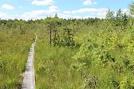 Dans la réserve naturelle d'Alema.