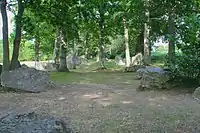 L'alignement de menhirs du Champ des Roches.