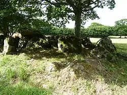 Image illustrative de l’article Allée couverte de Kernescop