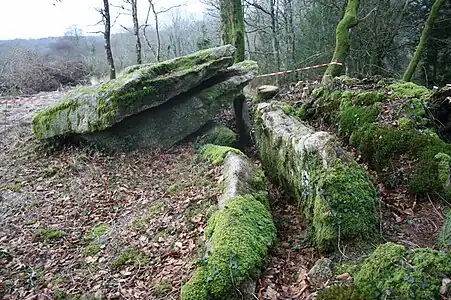 Vue sud de l'allée couverte.
