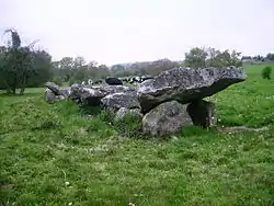 Image illustrative de l’article Allée couverte de la Bertinière