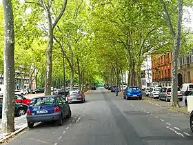 Image illustrative de l’article Allées Paul-Sabatier