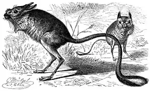 Représentation ancienne