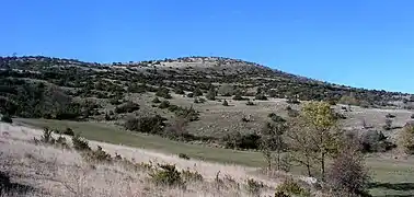 Le puech d'Alluech (altitude 1&nbsp;156&nbsp;m).