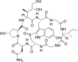 Image illustrative de l’article Alpha-Amanitine