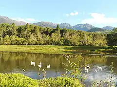 climat doux, la vallée, merida.