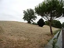 Photographie en couleurs d'un talus herbeux.