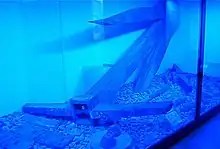 Une des ancres de l’épave de Mahdia, Ier&nbsp;siècle&nbsp;av. J.-C.