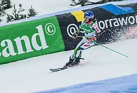 Image illustrative de l’article Andreja Slokar