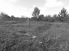 Le puits dans son environnement.