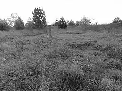 Le puits dans son environnement.