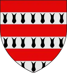 Image illustrative de l’article Maison Trencavel