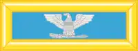 Colonel
