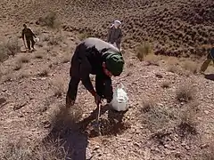 Photo d'une personne travaillant la terre au premier plan, deux autres personnes apparaissent au second plan.