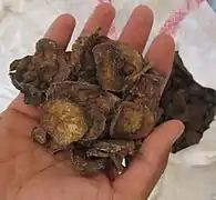 Paume d'une main au-dessus d'un sac tenant une poignée de tranches de matière végétale brun sale.