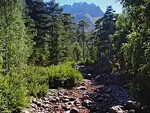 Ruisseau de Tighiettu