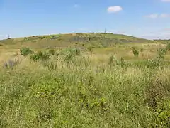 Le terril du 8 de l'Escarpelle en 2011.